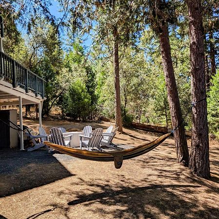 Breckenridge Chalet Near Yosemite. Dog Friendly! Groveland Zewnętrze zdjęcie