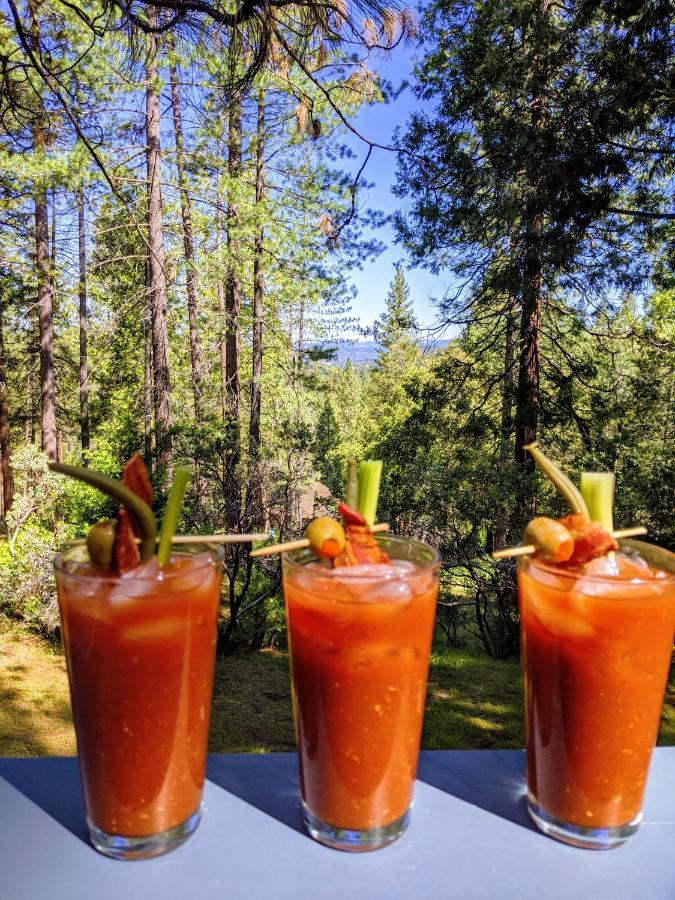 Breckenridge Chalet Near Yosemite. Dog Friendly! Groveland Zewnętrze zdjęcie