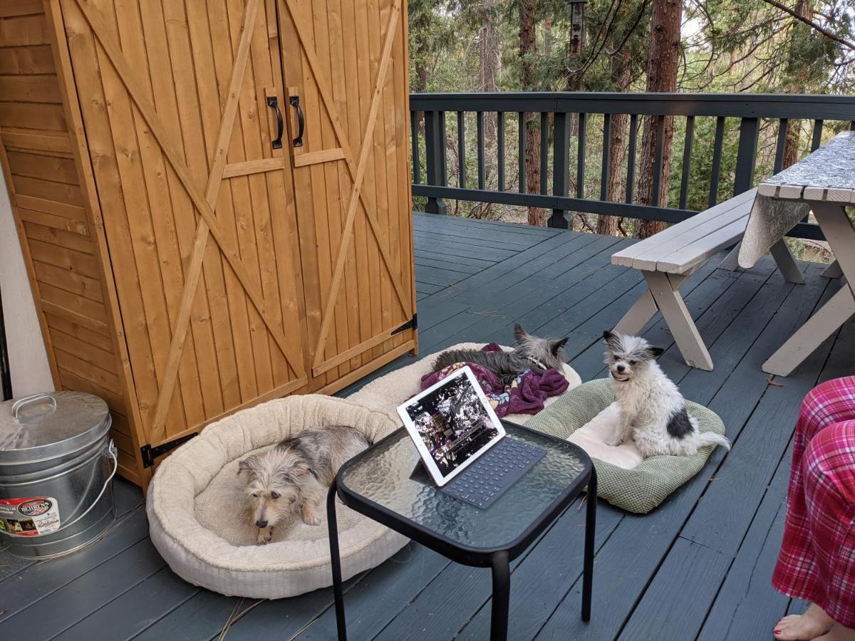 Breckenridge Chalet Near Yosemite. Dog Friendly! Groveland Zewnętrze zdjęcie
