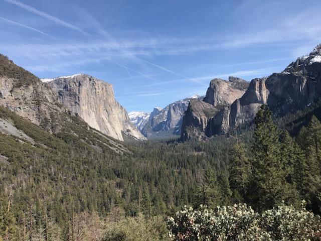 Breckenridge Chalet Near Yosemite. Dog Friendly! Groveland Zewnętrze zdjęcie